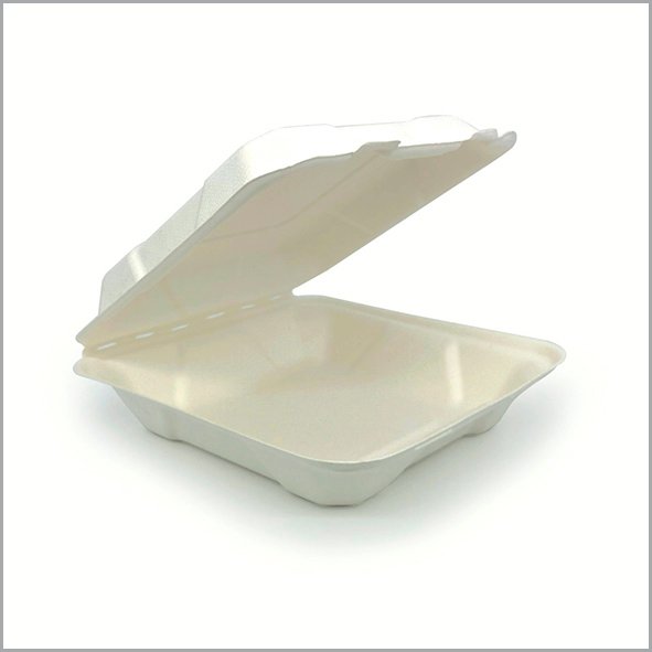 Biodegradable Hinged Container Biodegradable Hinged Container