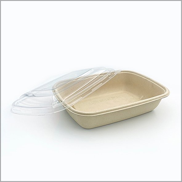 Bio degradable container with lid cover Bio degradable container with lid cover