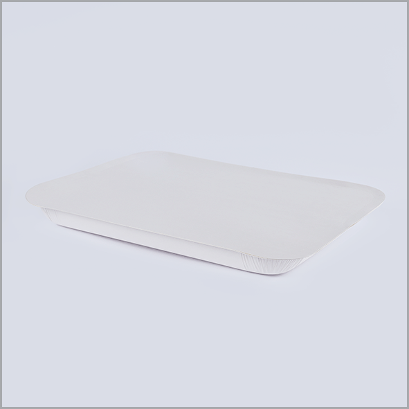 aaHP19-1 HP 19Sealing Tray By Halapack